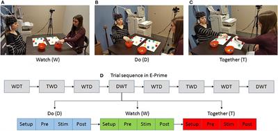 Cortical Activation during Action Observation, Action Execution, and Interpersonal Synchrony in Adults: A functional Near-Infrared Spectroscopy (fNIRS) Study